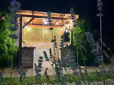Ferienhaus für 16 Personen (184 m²) in Balatonfenyves 7/10
