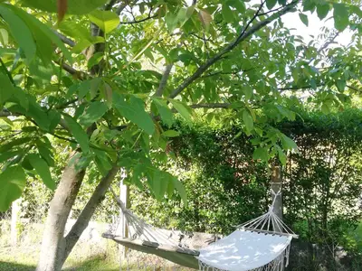 Ferienhaus für 5 Personen (45 m²) in Balatonfenyves 10/10