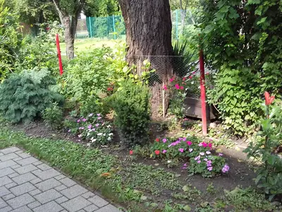 Ferienhaus für 3 Personen (34 m²) in Balatonfenyves 7/10