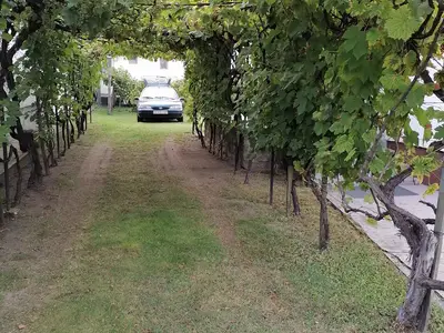 Ferienhaus für 6 Personen (74 m²) in Balatonfenyves 8/10