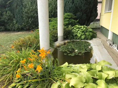 Ferienhaus für 8 Personen (160 m²) in Balatonfűzfő 6/10