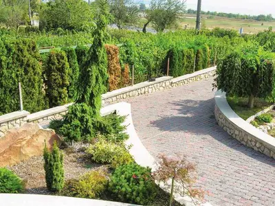 Ferienhaus für 4 Personen (100 m²) in Balatongyörök 8/10