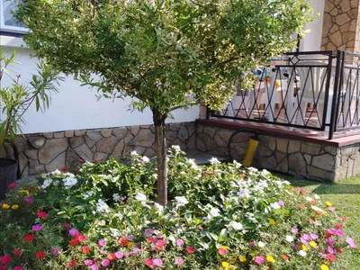 Ferienhaus für 8 Personen (170 m²) in Balatonkeresztúr 5/10