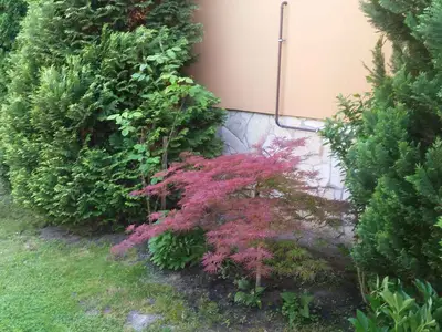 Ferienhaus für 4 Personen (65 m²) in Balatonlelle 10/10