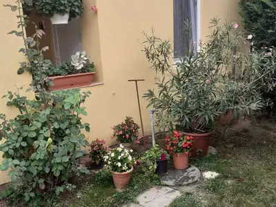 Ferienhaus für 4 Personen (50 m²) in Balatonlelle 10/10