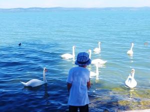 Ferienhaus für 16 Personen (200 m²) in Balatonszárszó