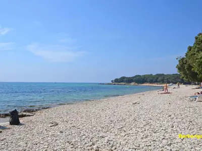 Ferienhaus für 7 Personen (80 m²) in Barbariga 8/10