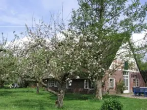 Ferienhaus für 6 Personen (100 m²) in Balje