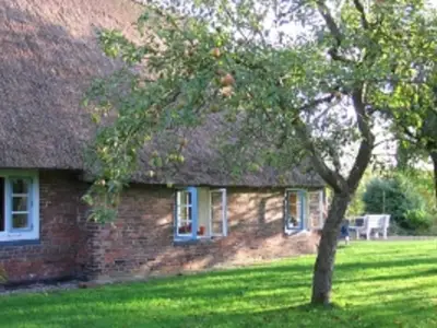 Ferienhaus für 6 Personen (100 m²) in Balje 3/10