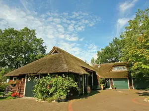 Ferienhaus für 10 Personen (142 m²) in Balkbrug