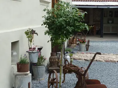 Ferienhaus für 6 Personen (100 m²) in Ballenstedt 3/10