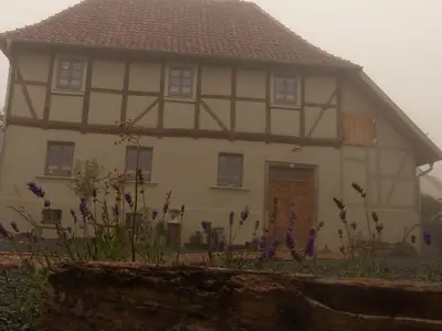 Ferienhaus für 6 Personen (100 m²) in Ballenstedt 5/10