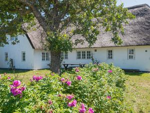 Ferienhaus für 7 Personen (100 m&sup2;) in Ballum