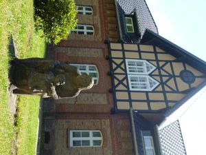 22301895-Ferienhaus-7-Bandelstorf-300x225-2