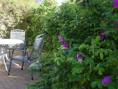 Ferienhaus für 2 Personen (40 m²) in Bansin (Seebad) 5/10