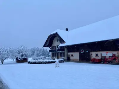Bild 24