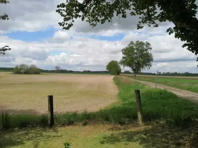 Ferienhaus für 5 Personen (100 m²) in Barkow 7/10
