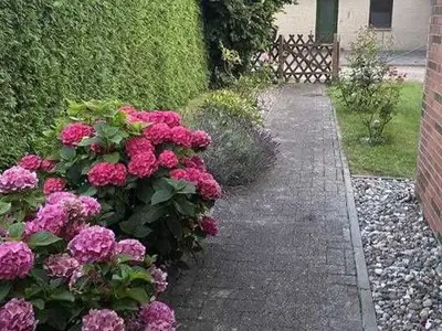 Ferienhaus für 6 Personen (98 m²) in Barth 3/10