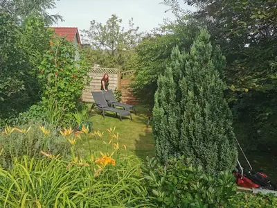 Ferienhaus für 6 Personen (50 m²) in Barth 8/10