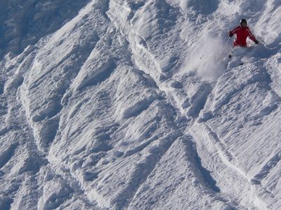 Wedeln im Tiefschnee