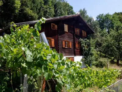 Ferienhaus für 6 Personen (85 m²) in Bartholomäberg 1/10