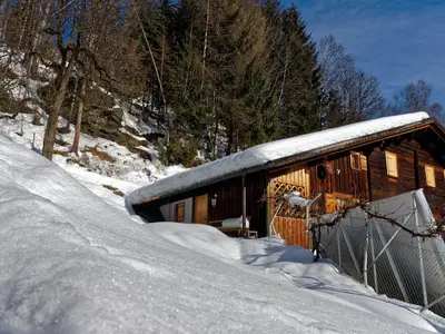 Ferienhaus für 6 Personen (85 m²) in Bartholomäberg 2/10