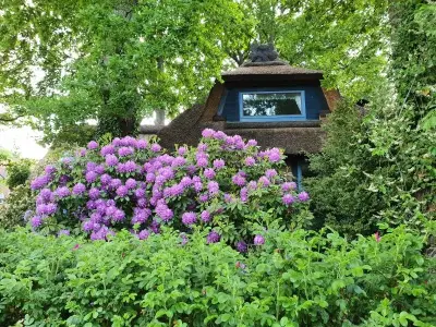 Ferienhaus für 6 Personen (134 m²) in Barum (Landkreis Lüneburg) 4/10