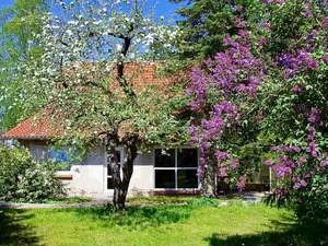 Ferienhaus für 8 Personen in Basedow