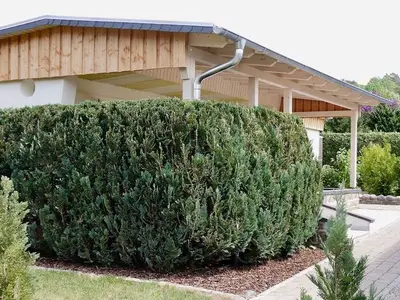 Ferienhaus für 2 Personen (50 m²) in Basedow 3/10