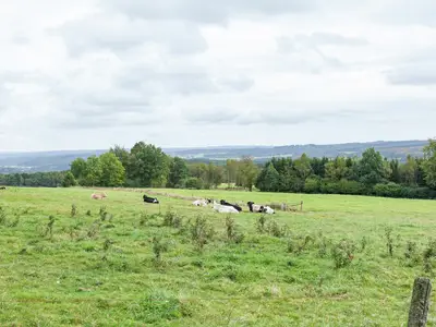 ViewSummer