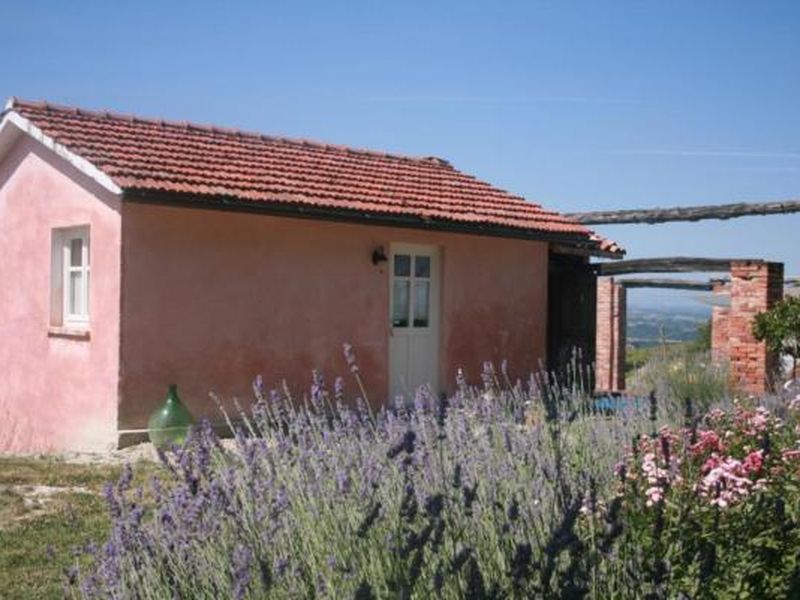 18987576-Ferienhaus-4-Bastia Mondovì-800x600-1