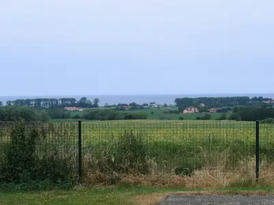 ViewSummer