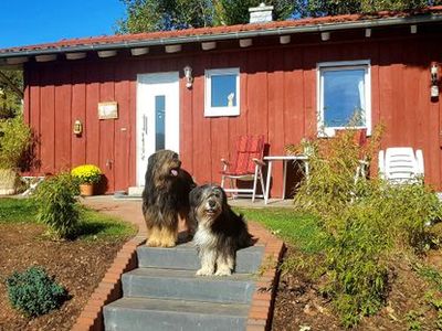 Ferienhaus für 4 Personen (52 m²) in Battenberg 1/10