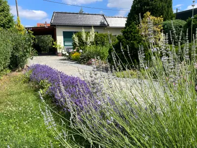 Ferienhaus für 4 Personen (75 m²) in Bautzen 1/10