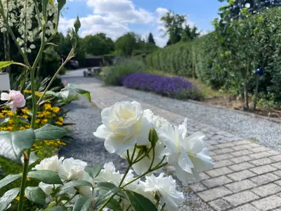Ferienhaus für 4 Personen (75 m²) in Bautzen 5/10