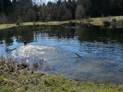 Landschaftsweiher