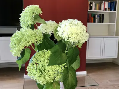 Ferienhaus für 4 Personen in Bayreuth 6/10