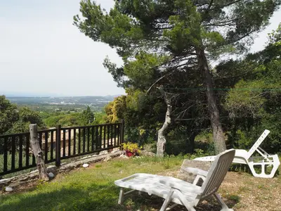 ViewSummer