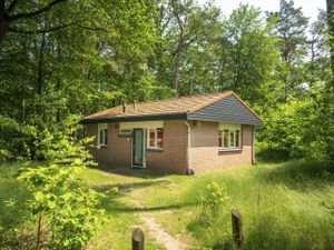 Ferienhaus für 4 Personen (50 m²) in Beekbergen