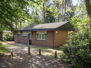 Ferienhaus für 8 Personen (65 m²) in Beekbergen