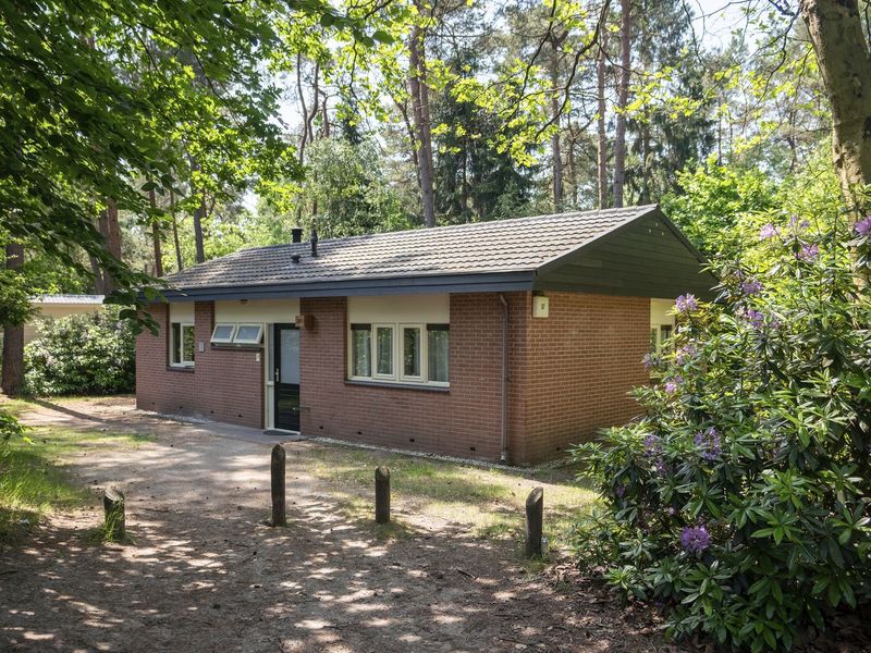 18509395-Ferienhaus-8-Beekbergen-800x600-0