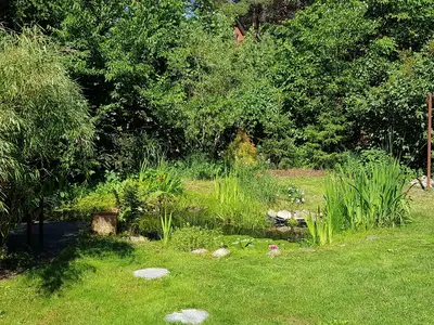 Ferienhaus für 6 Personen (160 m²) in Beelitz 3/10