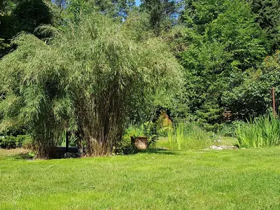 Ferienhaus für 6 Personen (160 m²) in Beelitz 6/10