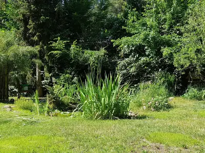 Ferienhaus für 6 Personen (160 m²) in Beelitz 7/10