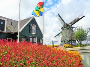 Ferienhaus für 24 Personen (274 m²) in Beemster