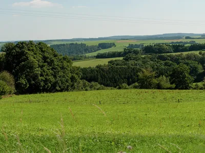 ViewSummer