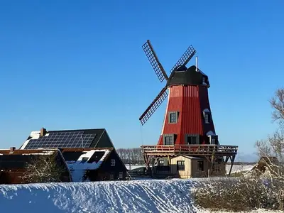 Ferienhaus für 5 Personen (150 m²) in Beidenfleth 3/10