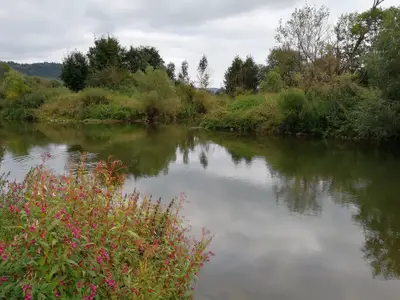 Fluß Altmühl