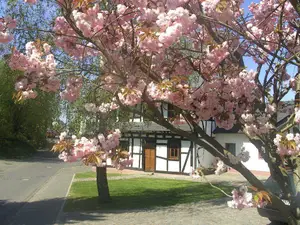 Ferienhaus für 8 Personen (170 m²) in Beltheim
