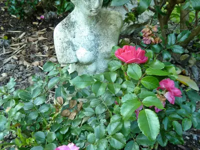 Ferienhaus für 4 Personen (50 m²) in Beltheim 3/10